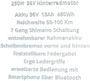 250W  36V Hinterradmotor Akku 36V  13Ah  480Wh Reichweite 50-100 Km 7 Gang Shimano Schaltung entnehmbarer Rahmenakku Scheibenbremse vorne und hinten feststellbare Federgabel Ergo Ledergriffe erweiterte Bedienung mit Smartphone über Bluetooth